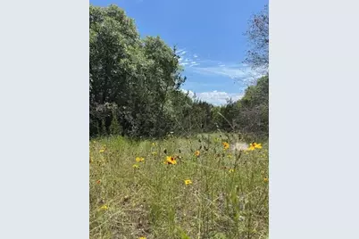1015 Bluegill Ridge, Bluff Dale, TX 76433 - Photo 19