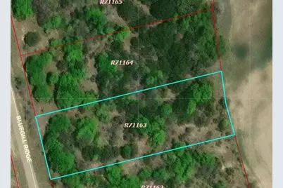 1065 Bluegill Ridge, Bluff Dale, TX 76433 - Photo 3