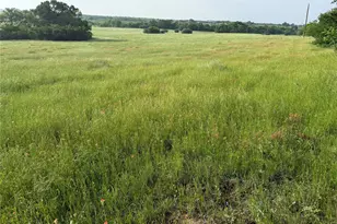 10 1 Acres Co Rd 4055, Kemp, TX 75143 - Photo 1