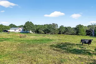 437 Co Rd 292, Collinsville, TX 76233 - Photo 11