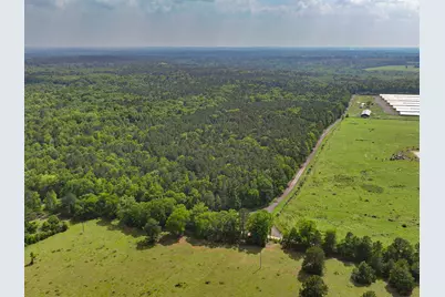 Tbd Kings Rd, Hemphill, TX 75972 - Photo 5