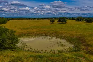 451 Rosser Ranch Rd, Graham, TX 76450 - Photo 5