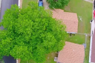903 Caladium Dr, Mesquite, TX 75149 - Photo 1