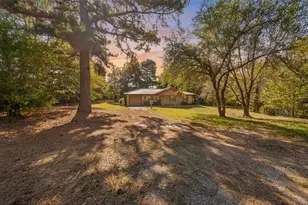 17092 Fm 317, Chandler, TX 75758 - Photo 3