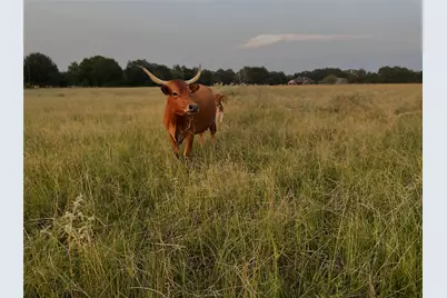 17821 County Road 4069, Kemp, TX 75143 - Photo 17