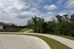 1332 Alfred St, Howe, TX 75459 - Photo 29