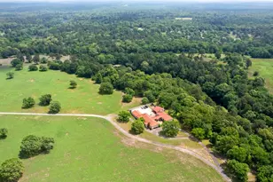 226 Fm 2869, Winnsboro, TX 75494 - Photo 3
