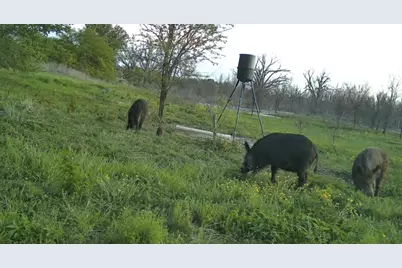 0000 County Road 2610, Bonham, TX 75418 - Photo 27