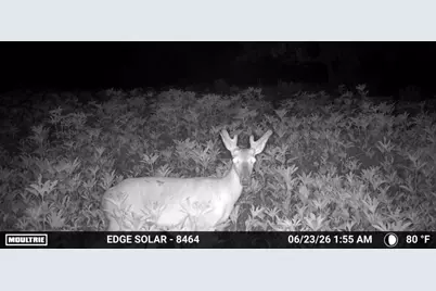 0000 County Road 2610, Bonham, TX 75418 - Photo 35