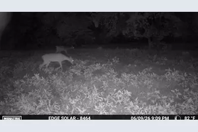 0000 County Road 2610, Bonham, TX 75418 - Photo 33