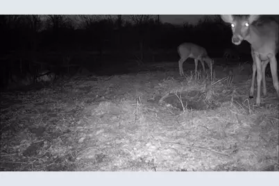0000 County Road 2610, Bonham, TX 75418 - Photo 31