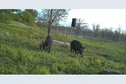 0000 County Road 2610, Bonham, TX 75418 - Photo 29