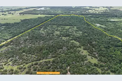 Tbd 125 Acres Fm 642, Purdon, TX 76679 - Photo 21