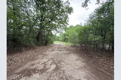 Tbd 125 Acres Fm 642, Purdon, TX 76679 - Photo 5