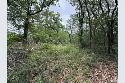 Tbd 125 Acres Fm 642, Purdon, TX 76679 - Photo 9