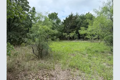 Tbd 125 Acres Fm 642, Purdon, TX 76679 - Photo 17
