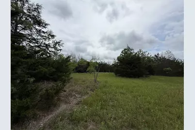 Tbd 125 Acres Fm 642, Purdon, TX 76679 - Photo 35