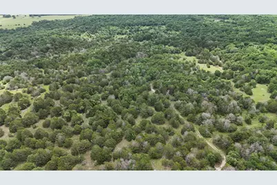 Tbd 125 Acres Fm 642, Purdon, TX 76679 - Photo 39