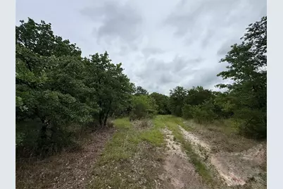 Tbd 125 Acres Fm 642, Purdon, TX 76679 - Photo 19