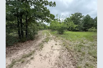 Tbd 125 Acres Fm 642, Purdon, TX 76679 - Photo 15