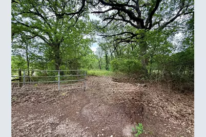 Tbd 125 Acres Fm 642, Purdon, TX 76679 - Photo 7