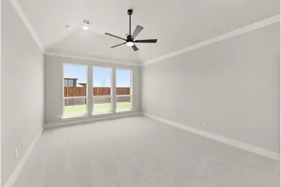 517 Bristle Pine Avenue, Little Elm, TX 75068 - Photo 31