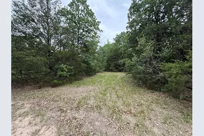 Tbd 27 Acres Fm 642, Purdon, TX 76679 - Photo 5