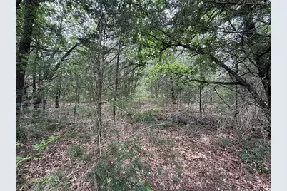 Tbd 27 Acres Fm 642, Purdon, TX 76679 - Photo 23