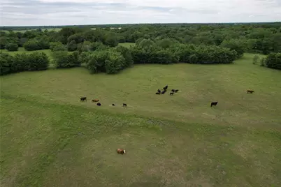 829 Farm Road 71 W, Sulphur Springs, TX 75482 - Photo 13