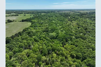 001 County Road 2145, Telephone, TX 75488 - Photo 11