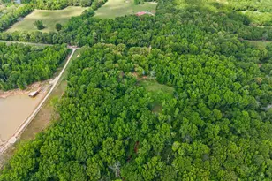 412 Vz County Rd 4505, Ben Wheeler, TX 75754 - Photo 37