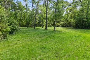 412 Vz County Rd 4505, Ben Wheeler, TX 75754 - Photo 33