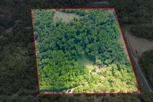 412 Vz County Rd 4505, Ben Wheeler, TX 75754 - Photo 3