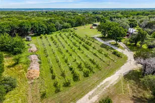 106 Private Rd 1381, Morgan, TX 76671 - Photo 5