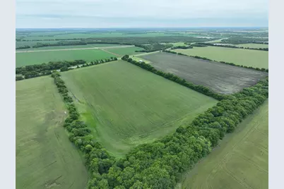 Tbd Hwy 56 Highway, Honey Grove, TX 75446 - Photo 5