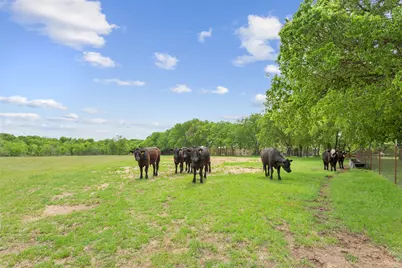 1277 Hcr 4251, Hillsboro, TX 76645 - Photo 7