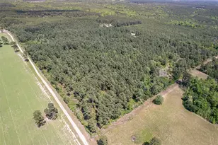0 County Road 3588, Winnsboro, TX 75494 - Photo 1