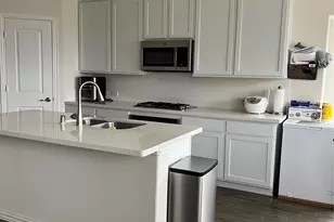 1313 Forest Haven Dr, Anna, TX 75409 - Photo 23