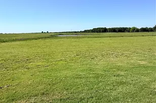 501 Alondrita St, Celeste, TX 75423 - Photo 25