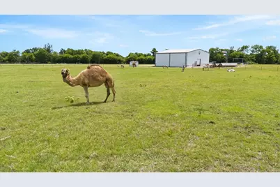 14705 County Road 545, Nevada, TX 75173 - Photo 3