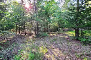 Lot 377 Timber Ridge, LaRue, TX 75770 - Photo 31