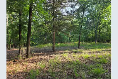 Lot 377 Timber Ridge, LaRue, TX 75770 - Photo 3