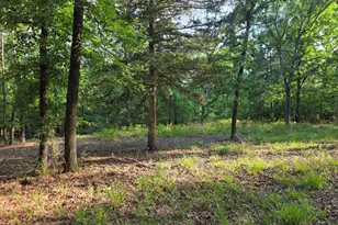 Lot 377 Timber Ridge, LaRue, TX 75770 - Photo 3