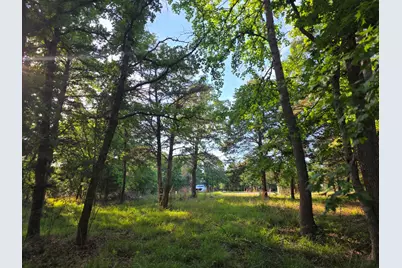 Lot 377 Timber Ridge, LaRue, TX 75770 - Photo 37