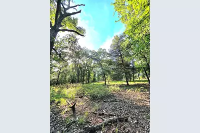 Lot 377 Timber Ridge, LaRue, TX 75770 - Photo 33