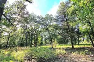 Lot 377 Timber Ridge, LaRue, TX 75770 - Photo 33