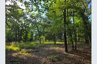 Lot 377 Timber Ridge, LaRue, TX 75770 - Photo 21