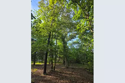 Lot 377 Timber Ridge, LaRue, TX 75770 - Photo 9