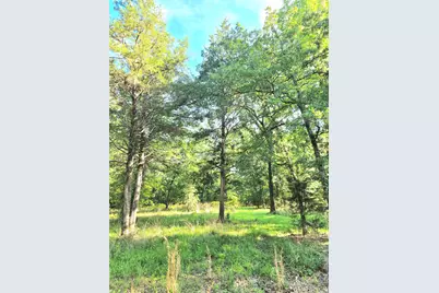 Lot 377 Timber Ridge, LaRue, TX 75770 - Photo 17