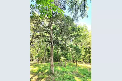 Lot 377 Timber Ridge, LaRue, TX 75770 - Photo 7